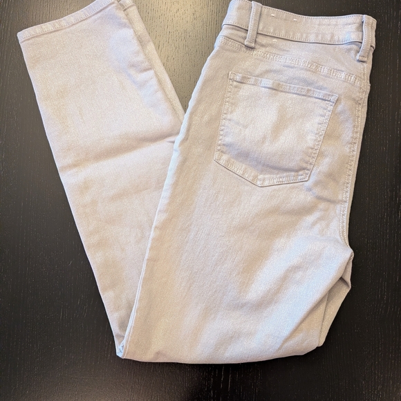 Talbots Shimmering Silver Pants - Picture 4 of 10